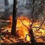 Dichiarazione di massima pericolosità incendi boschivi