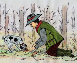 Presentazione delle domande di indennità per la conservazione del patrimonio tartufigeno